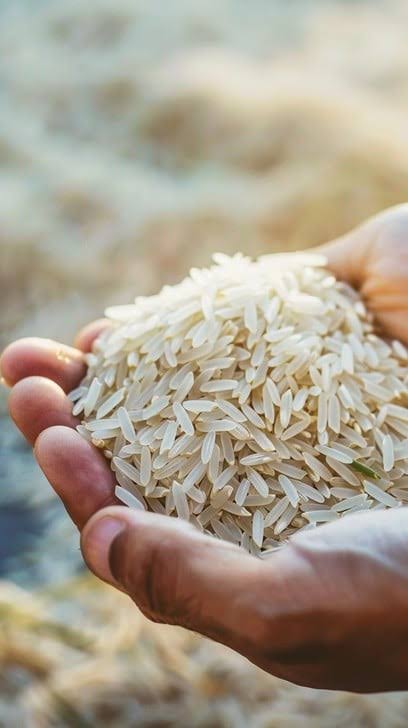 Indian rice