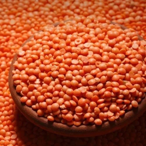 Pulses