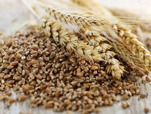 Grain