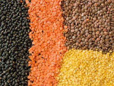Lentils